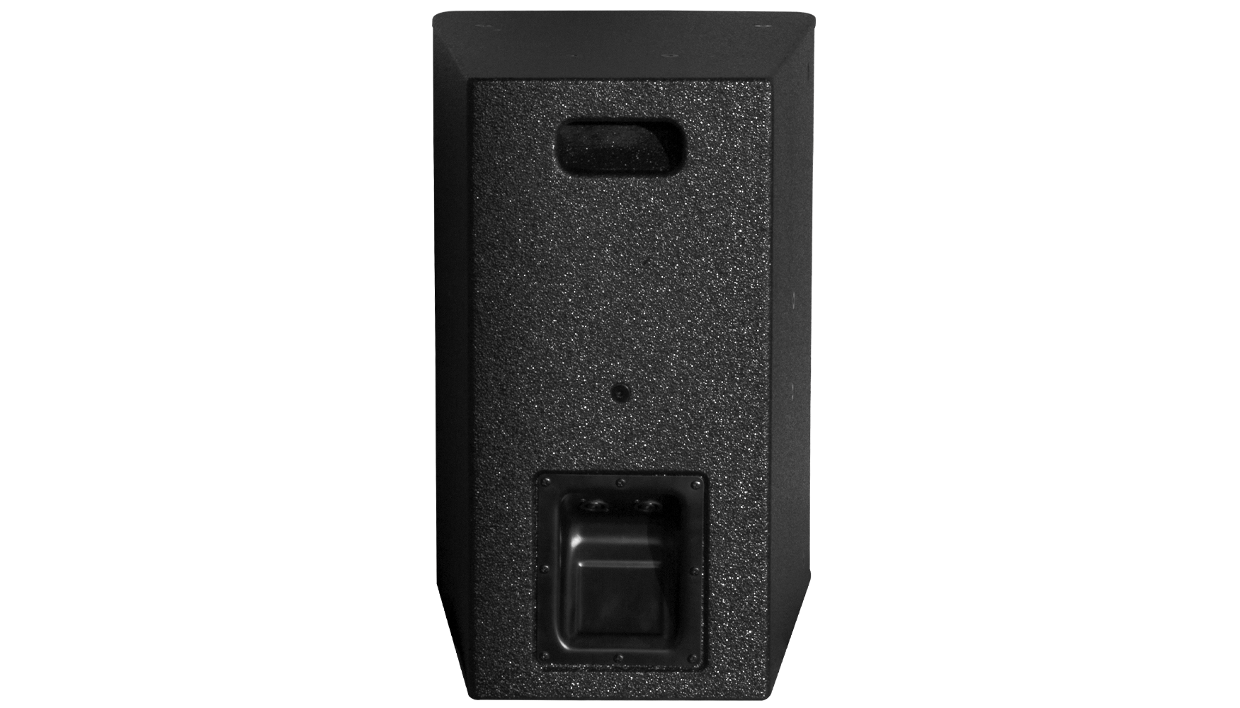 Loa Đa Hướng P10 Dare Audio Passive - Bass 10 inch - 1200W - Ảnh 2