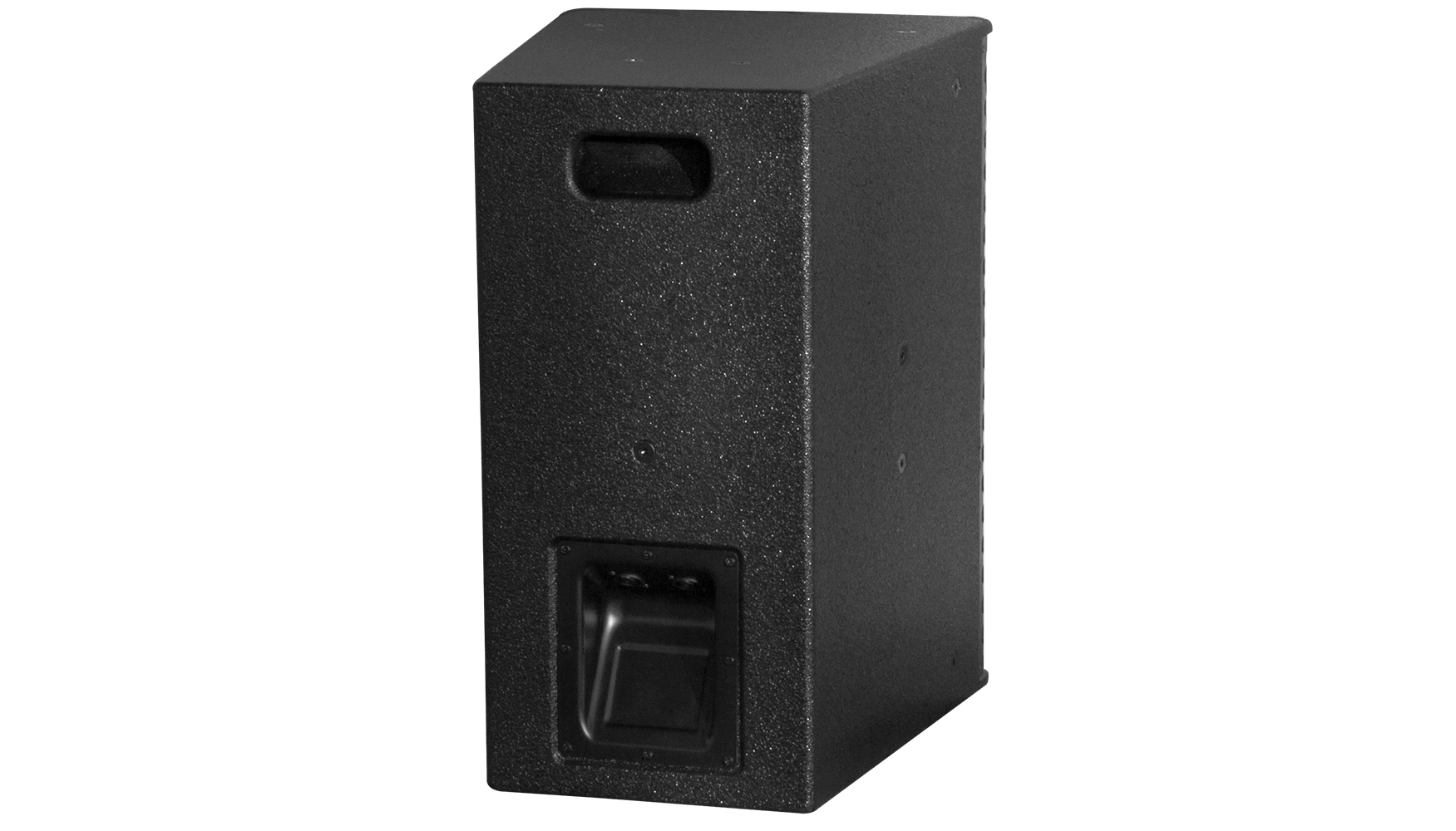 Loa Đa Hướng P10 Dare Audio Passive - Bass 10 inch - 1200W - Ảnh 3